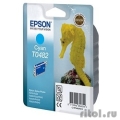 EPSON C13T04824010 Epson   St.R200/300/RX500/600/620 ()