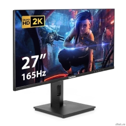 LCD ExeGate 27"�EG2707A Combat {IPS 2560x1440 165Hz 1ms 16:9 400cd 1000:1 2xHDMI1.4 DisplayPort USB Speakers} [EX295595RUS]  [��������: 3 ����]