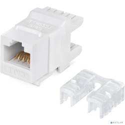 Rexant (02-0250)  Keystone Jack RJ-45(8P8C), UTP , CAT 6,  180 ,  PRO  [: 1 ]