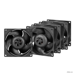 Case fan  ARCTIC S8038-7K (4 Pack) (ACFAN00292A)  [��������: 2 ����]