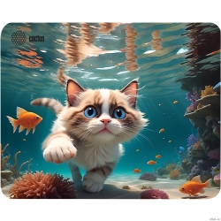 ������ ��� ���� Cactus Fish Cat ������� 300x250x3�� (CS-MPC-D15M)  [��������: 1 ���]