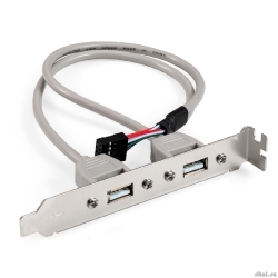 Exegate EX298294RUS ������ ������ � ������ 2xUSB2.0 ExeGate BrctUSB2-2A (USB 2.0 9pin (IDC 9pin F) --> 2x USB 2.0 Af, ������ 20��)  [��������: 1 ���]