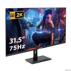 LCD ExeGate 31.5" ES3207A SmartView {IPS 2560x1440@75hz 1ms 16:9 300cd 1000:1 178/178 HDMI DisplayPort USB speakers HAS VESA} [EX299474RUS]  [��������: 3 ����]