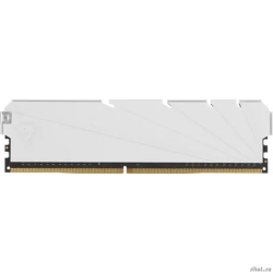 Netac DDR4 DIMM 8GB NTSSD4P32SP-08W PC4-25600, 3200MHz  [��������: 3 ����]