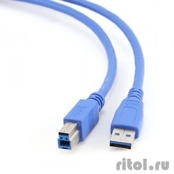 Gembird CCP-USB3-AMBM-6 USB 3.0 PRO  ������ ��� ����. 1.8� AM/BM  �����. ��������, �����   [��������: 3 ������]