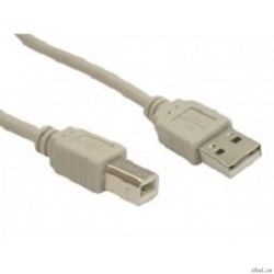 5bites UC5010-050C ������  USB2.0, AM/BM, 5�.  [��������: 6 �������]