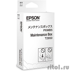 EPSON C13T295000 Maintenance Box  WF-100W  [: 3 ]