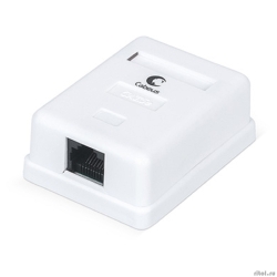 Cabeus WS-8P8C-Cat.5e-1   RJ-45,  5e, , , Dual IDC   [: 2 ]