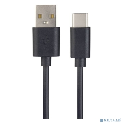 PERFEO  USB2.0 A  - USB Type-C , ,  1 .,  (U4703)   [: 1 ]