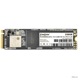 ExeGate SSD M.2 256GB NextPro+  EX282321RUS  [: 2 ]