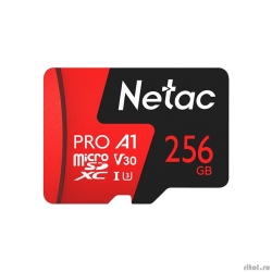 Micro SecureDigital 256GB Netac microSDXC Class10 Netac NT02P500PRO-256G-R P500 Extreme Pro + adapter  [: 1 ]