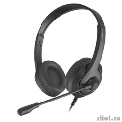 A4Tech Fstyler FH100U ������ 2� ��������� USB (FH100U (STONE BLACK))  [��������: 1 ���]
