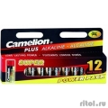 Camelion..LR 6 Plus Alkaline BLOCK-12 (LR6-HP12, ,1.5) (12 .  -)  [: 1 ]